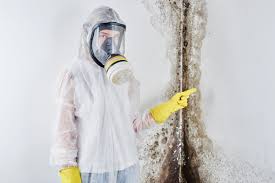 Mold Remediation for Vacation Homes in Dearborn, MI